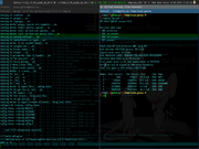 TWM 100 % Linux